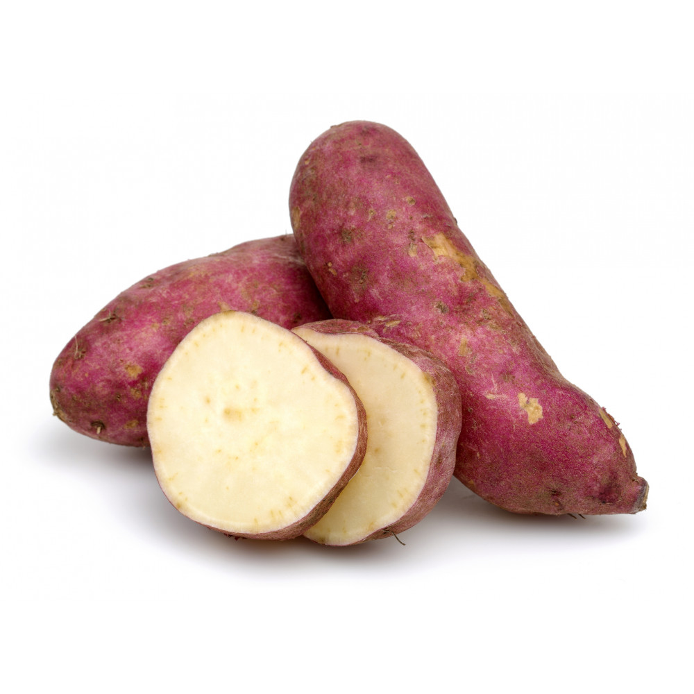 Batata-doce